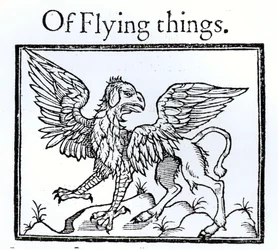 Een griffioen